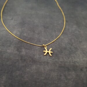 Tiny Pisces Necklace, Tiny Pisces Symbol Necklace, Tiny Pisces Zodiac Necklace, Tiny Pisces Necklace, Tiny Pisces Constellation Gift image 7