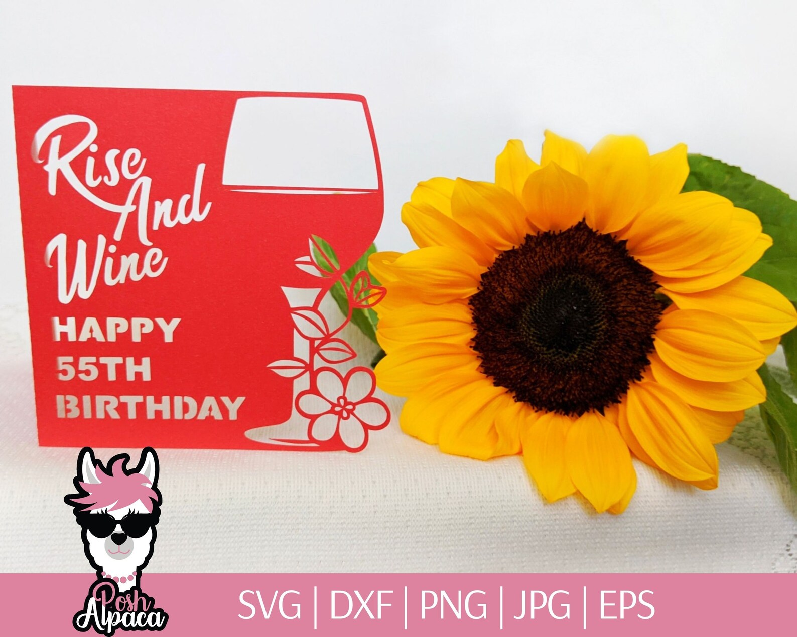 Download Birthday card svg bundle Funny birthday card svg files for | Etsy