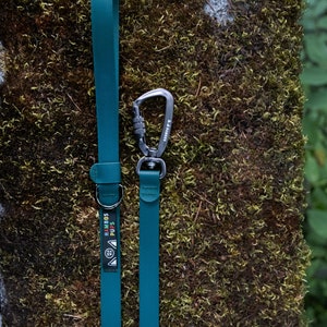 PNW Dry Leash (GREEN)  Waterproof, Biothane Dog Leash, Tan, Black, Pink, Green