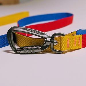 Color Block Leash