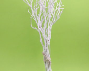 Large branches for decoration - Painted white and tied together