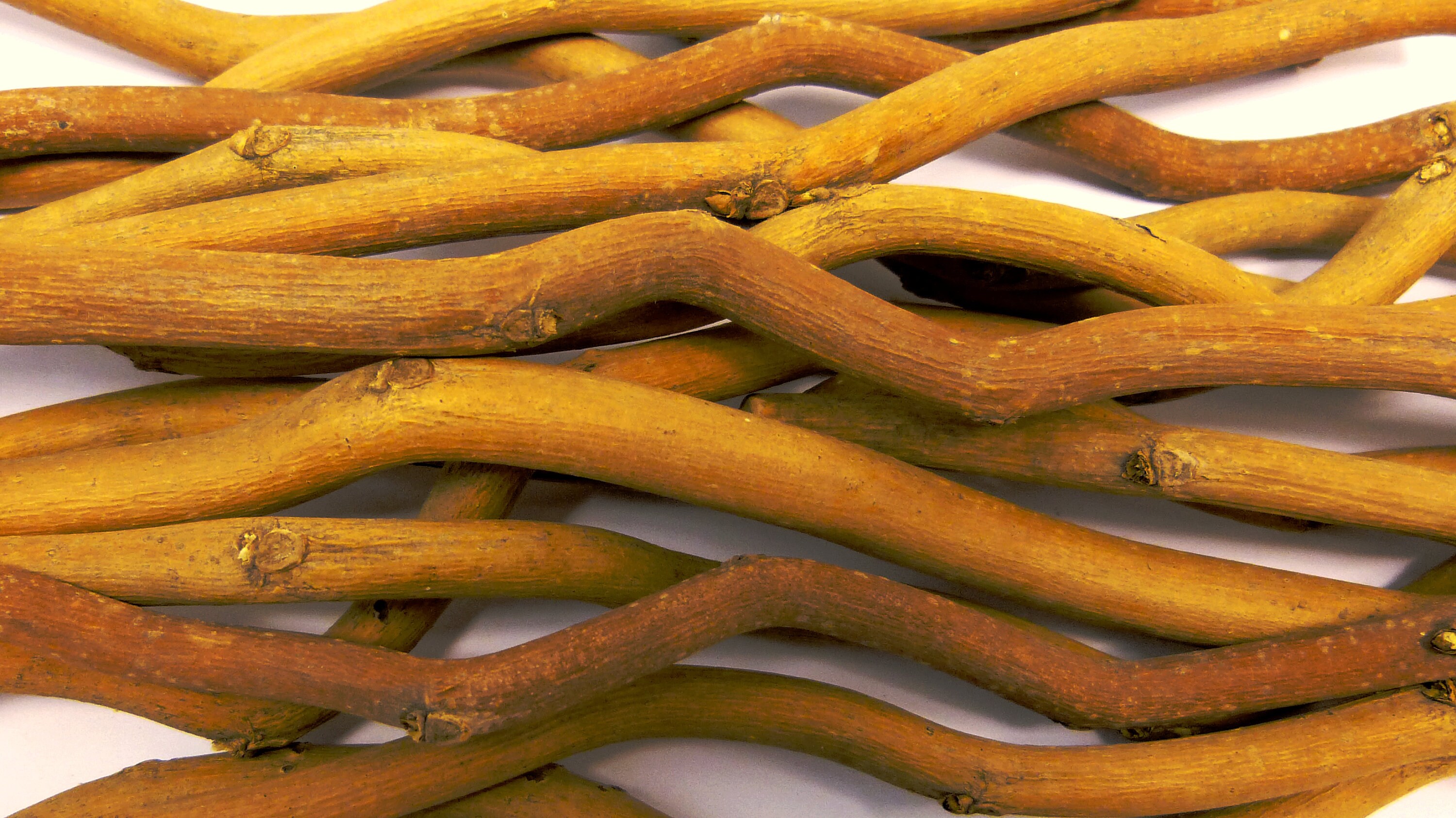 Twisted Willow Branches 250 Gram Pack approximately 20 Etsy UK