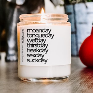 everyday fun sex day scented soy candle, sex, boyfriend girlfriend, funny gift, husband wife, long distance, anniversary, relationship gift