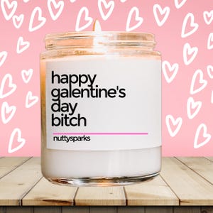 Valentinstag Hündin, Kerze zum Valentinstag, Geschenk zum Valentinstag, Jahrestagsgeschenk für Sie, Jahrestagsgeschenk für Ihn, V-Day Kerzen Geschenk