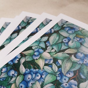 Zomer bosbessen/botanische aquareltekening/botanische illustratie print/gerecycled katoen giclée fine-art print ansichtkaart A6