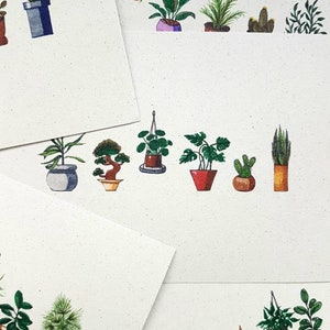 Plants in Pots Watercolour Illustration / Original Plant Drawing / A6 Postcard / Mini Plants / Flora