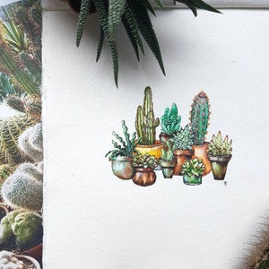 Original Watercolour Illustration / Potted Cacti and Succulents / Botanical Watercolour Plant Drawing on Recycled Cotton Paper