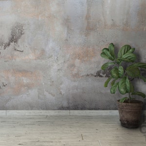 Big Size Grunge Concrete Wall Background, Removable Raw Wallpaper, Peel And Stick Roll, Rustic Home Style, Traditional Mural, White, Gray