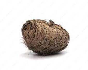 Rose of Jericho,blessed item,
