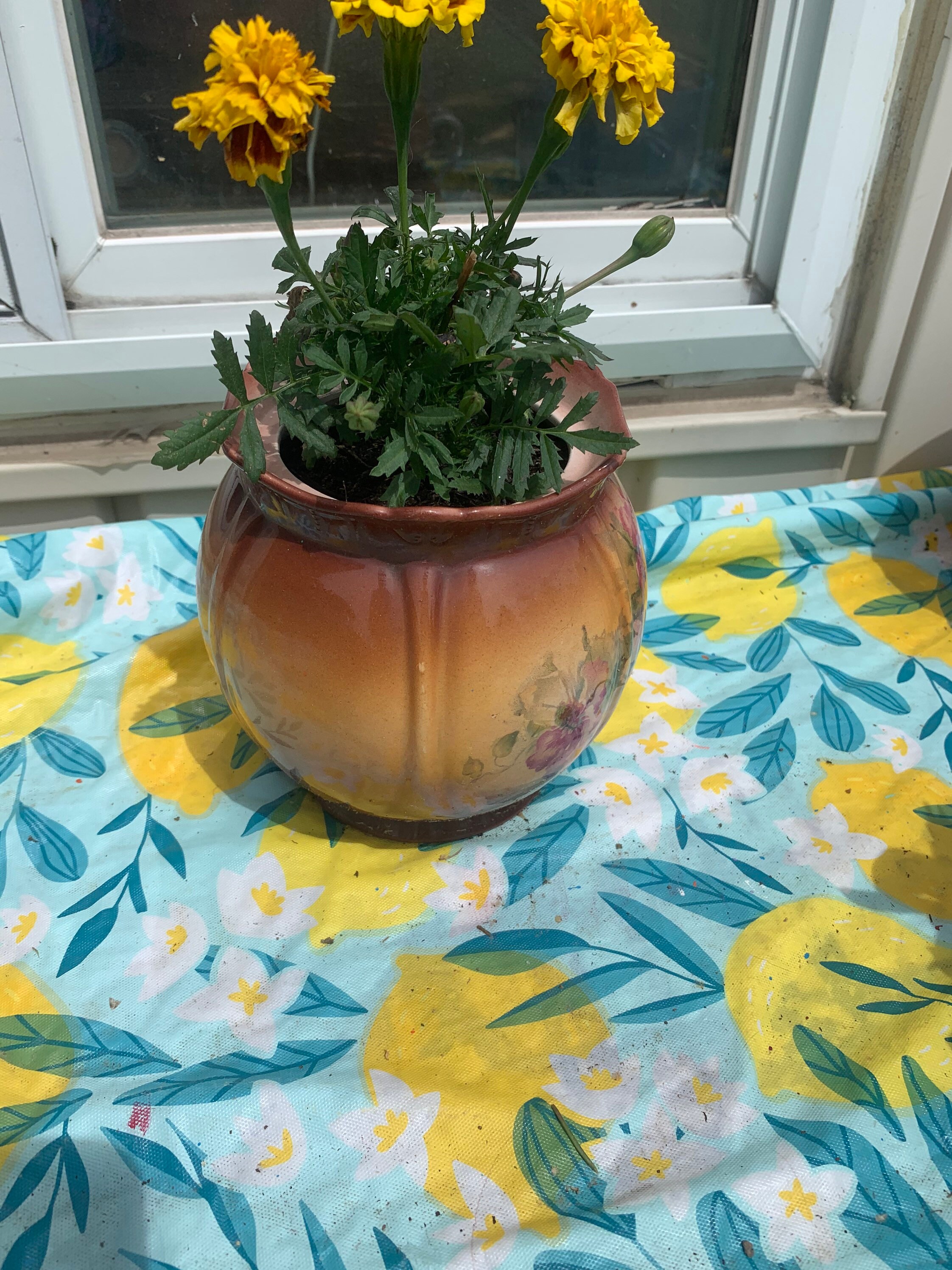 Brown Flower Pot Etsy