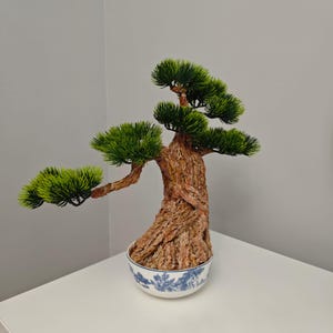 May include: A miniature bonsai tree in a white and blue patterned ceramic pot. The tree has a textured brown trunk and vibrant green foliage. The bonsai is a decorative item, perfect for adding a touch of nature to any space.