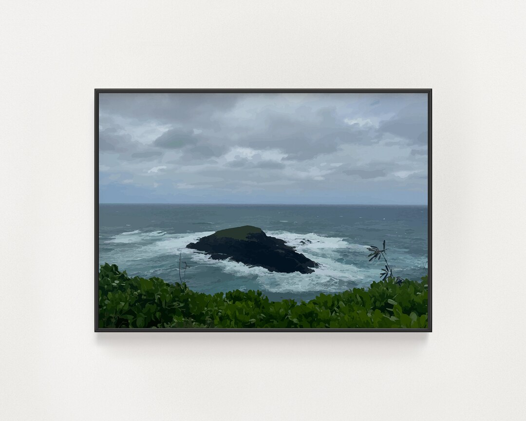 Kauai Wall Decor Kilauea Point Art Mokuaeae Rock Islet Seabird