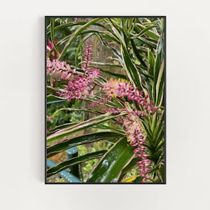 Hawaii Botanical Photography - Tropical Dragon Plant Kauai - Kauai Botanical Garden Wall Art - Garden Lover&#39;s Gift - Kauai Plants Print