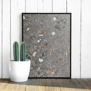 Seashell Wall Art Beach House Coastal Shells Print Dog Paw Prints in the Sand image 3