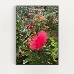 Hawaiian Tropical Plant Art - Kauai Botanical Poster - Hawaii Flowers Wall Decor - Floral Boho Print - Pink Jungle Flower