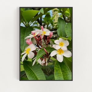 Botanical Wall Decor - Hawaiian Lei Plumeria Flower Wall Art - Hawaii Wildflowers Print - Aloha Floral Poster - Wildflowers Hawaii