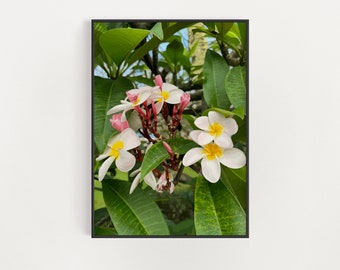 Plumeria Flower Art Print - Hawaiian Lei, Aloha Floral Wall Decor