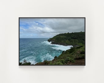 Kilauea Point National Wildlife Refuge Wall Art - Hawaiian Travel Art - Hawaii Print - Hawaii Landscape Poster - Kauai Bird Lovers Art