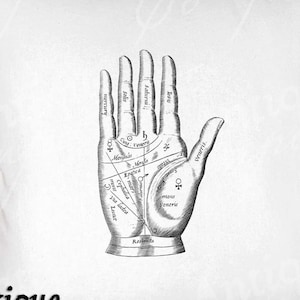 Palm Reading Clip Art - Vintage Palmistry Printable - Spiritual Sublimation - Antique Psychic Art Print