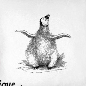 Penguin Clip Art - Vintage Penguin Printable - Baby Emperor Penguin Sublimation - Antique Arctic Animal Design