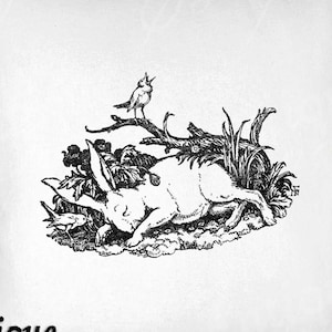 Clipart de coelho - Coelho vintage para impressão - Sublimação de coelho dormindo - Design de coelho antigo