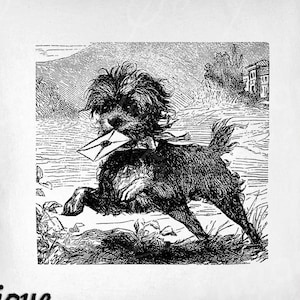アーフェンピンシャーのクリップアート - ヴィンテージ犬の印刷可能 - 文字昇華印刷の小型犬 - アンティーク犬のアートプリント