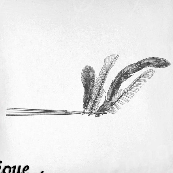 Hair Accessory Clip Art - Vintage Comb Printable - Feather Hair Comb Sublimation - Antique Hair Print