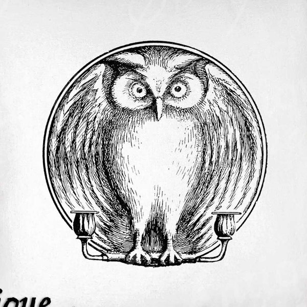 Owl Clip Art - Vintage Owl Printable - Owl Candle Holder Sublimation - Antique Owl Art Print