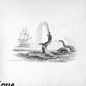 Sea Serpent Clip Art - Vintage Sea Monster Stampabile - Sublimazione Criptide - Stampa Art Bestia Antica