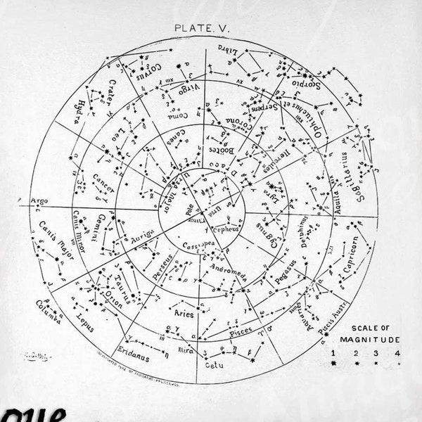 Antique Constellation Map - Etsy