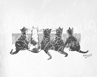Vintage Kittens Printable - Kitten Clip Art - Cat Sublimation - Antique Cat Art Print - Instant Download