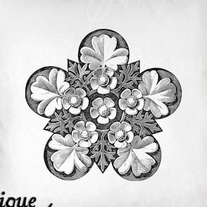 Floral Clip Art - Vintage bloemen afdrukbaar - bloemen verfraaiing sublimatie - antieke bloemsierkunst print