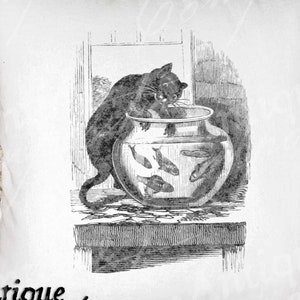 Vintage Cat with Fish Bowl Clip Art - Cat Printable - Cat Sublimation - Antique Cat Art Print - Instant Download