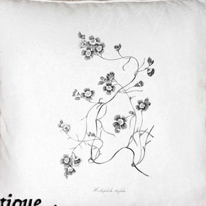 Forget Me Not Clip Art - vintage Flower Printable - Forget Me Not Sublimation - Antique Floral Design
