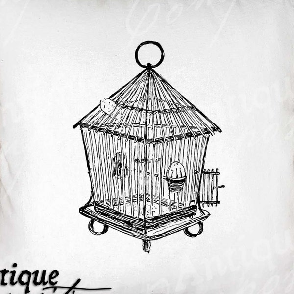 Birdcage Clip Art - Vintage Birdcage Printable - Bird Sublimation - Antique Bird Cage Art Print