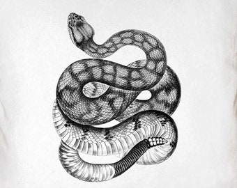 Arte prediseñado de serpiente de cascabel - Vintage Snake Printable - Sublimación de serpiente de cascabel - Antique Animal Art Print