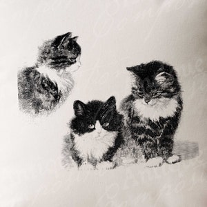 Kitten Clip Art - Vintage Kittens Printable - Long Hair Cat Sublimation - Antique Cat Design