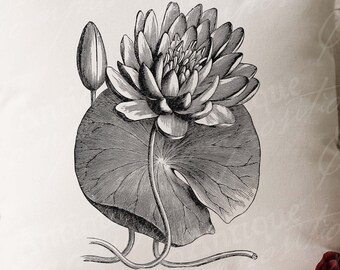 Lily Pad Clip Art Etsy Singapore