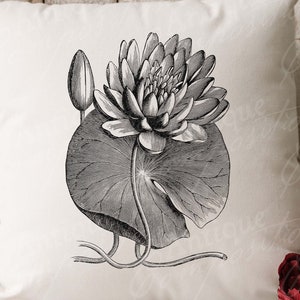 Clip Art de Lily Pad - Vintage floral para impressão - Sublimação de Lilypad - Design de flor antiga