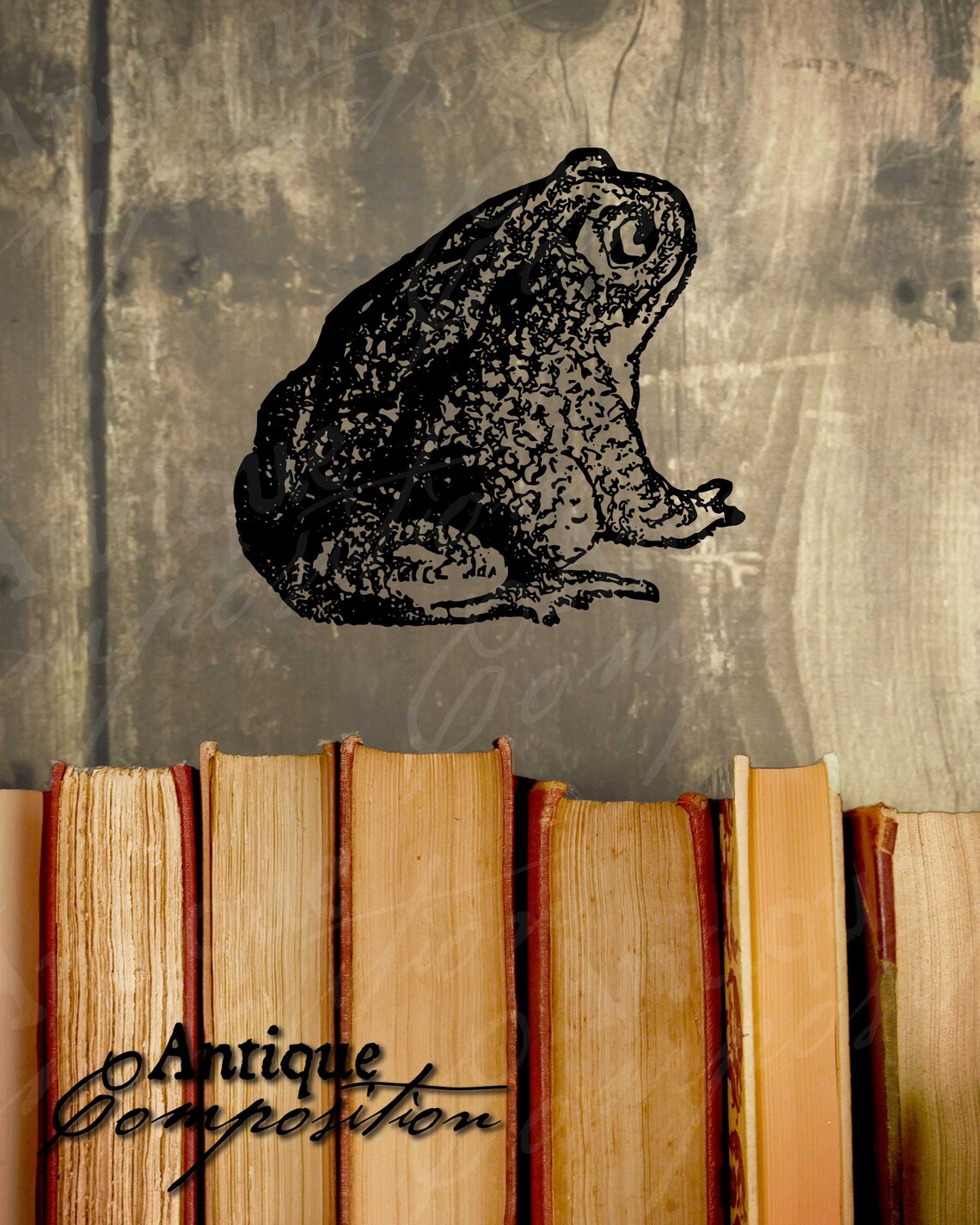 Toad Paperclip Toad Clip Art Vintage Toad Printable Amphibian Sublimation Antique Toad ...