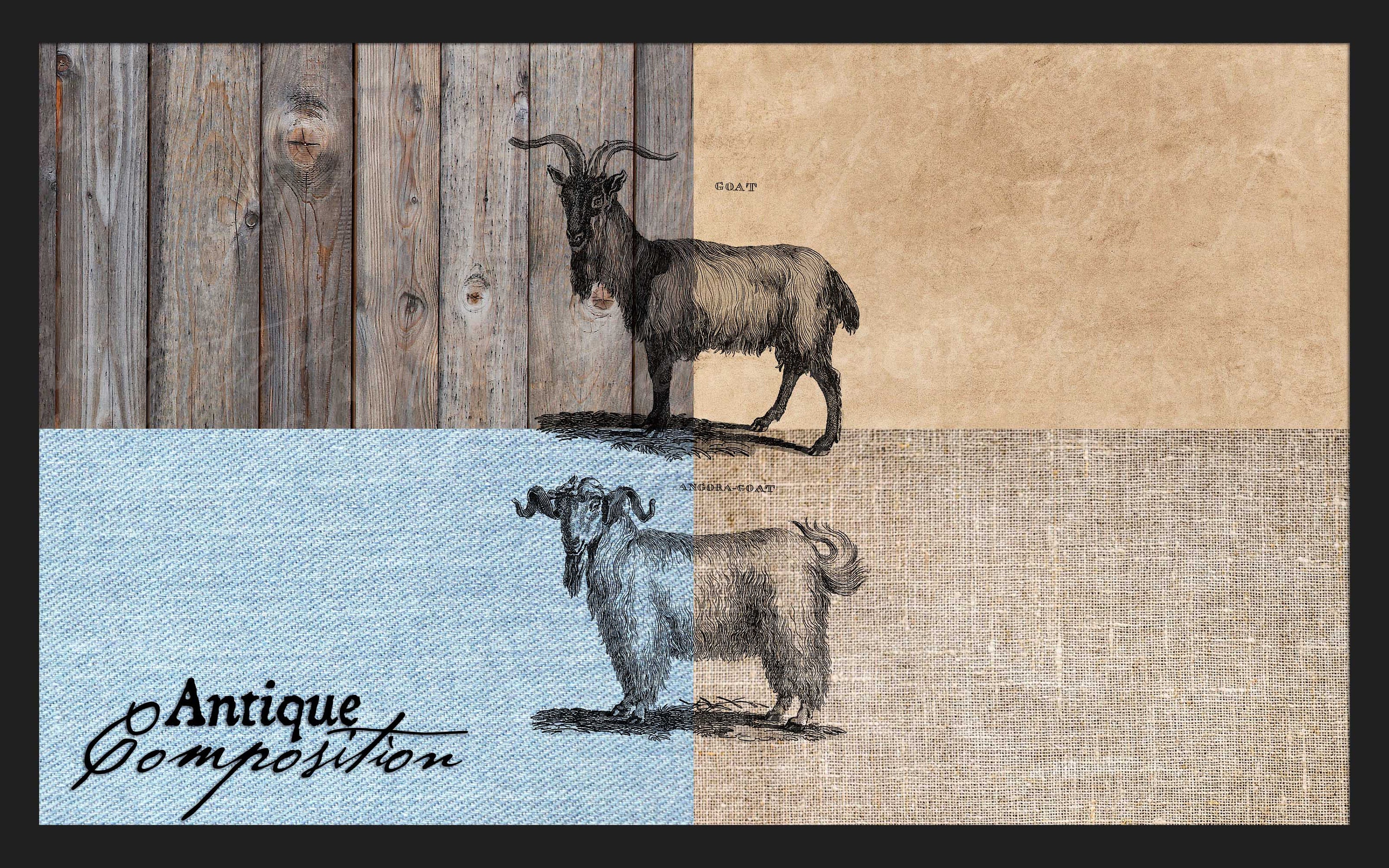 Goat Clip Art Vintage Goats Printable Angora Goat Sublimation Antique ...