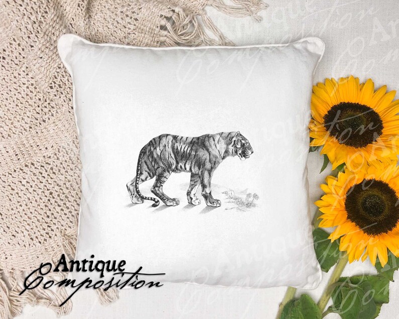Tiger Clip Art Vintage Tiger Printable Tiger Sublimation Antique Tiger
