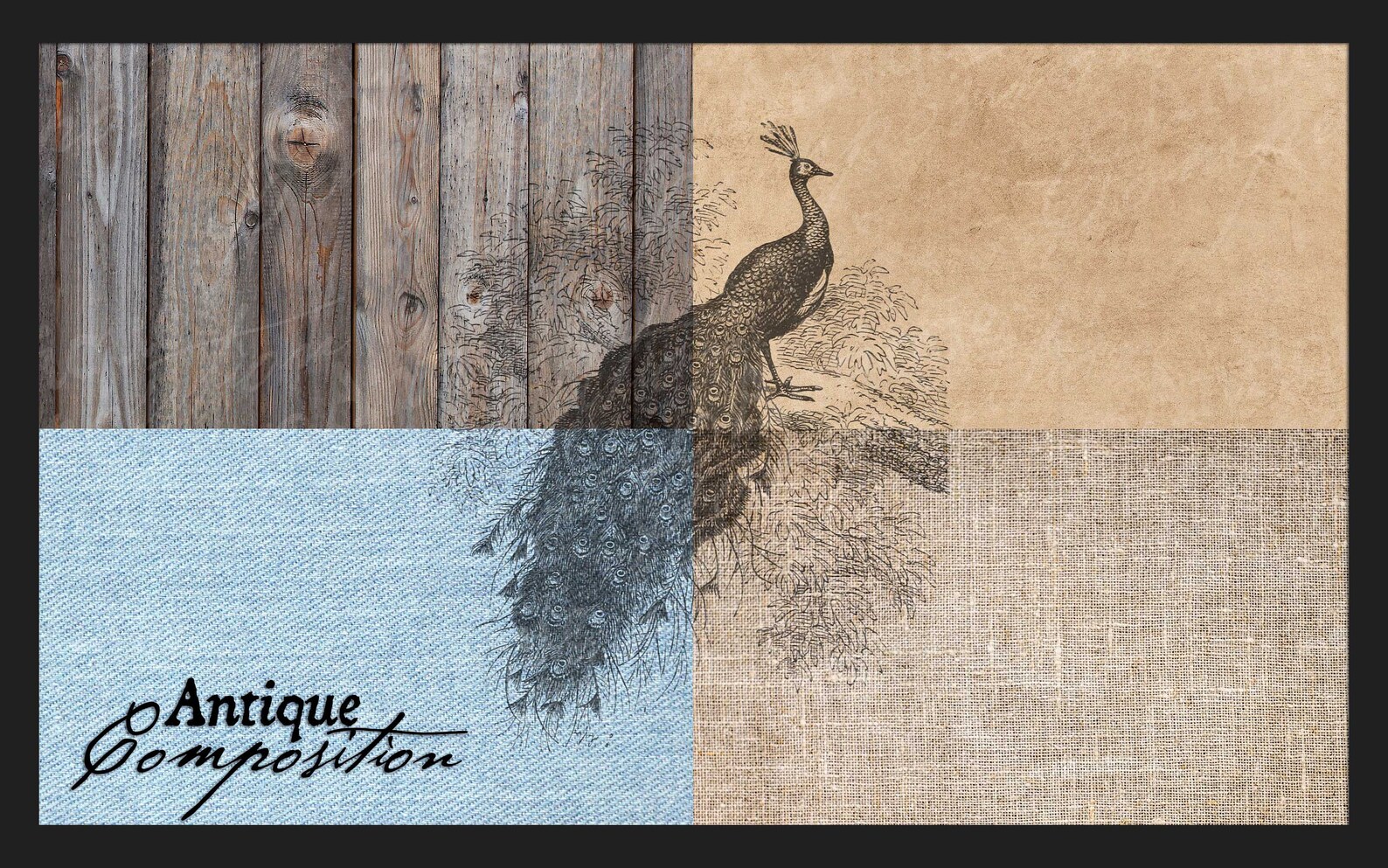 Peacock Clip Art Vintage Peacock Printable Peacock Sublimation Antique ...
