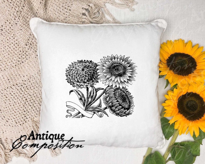 Sunflower Clip Art Vintage Sunflower Printable Flower Sublimation