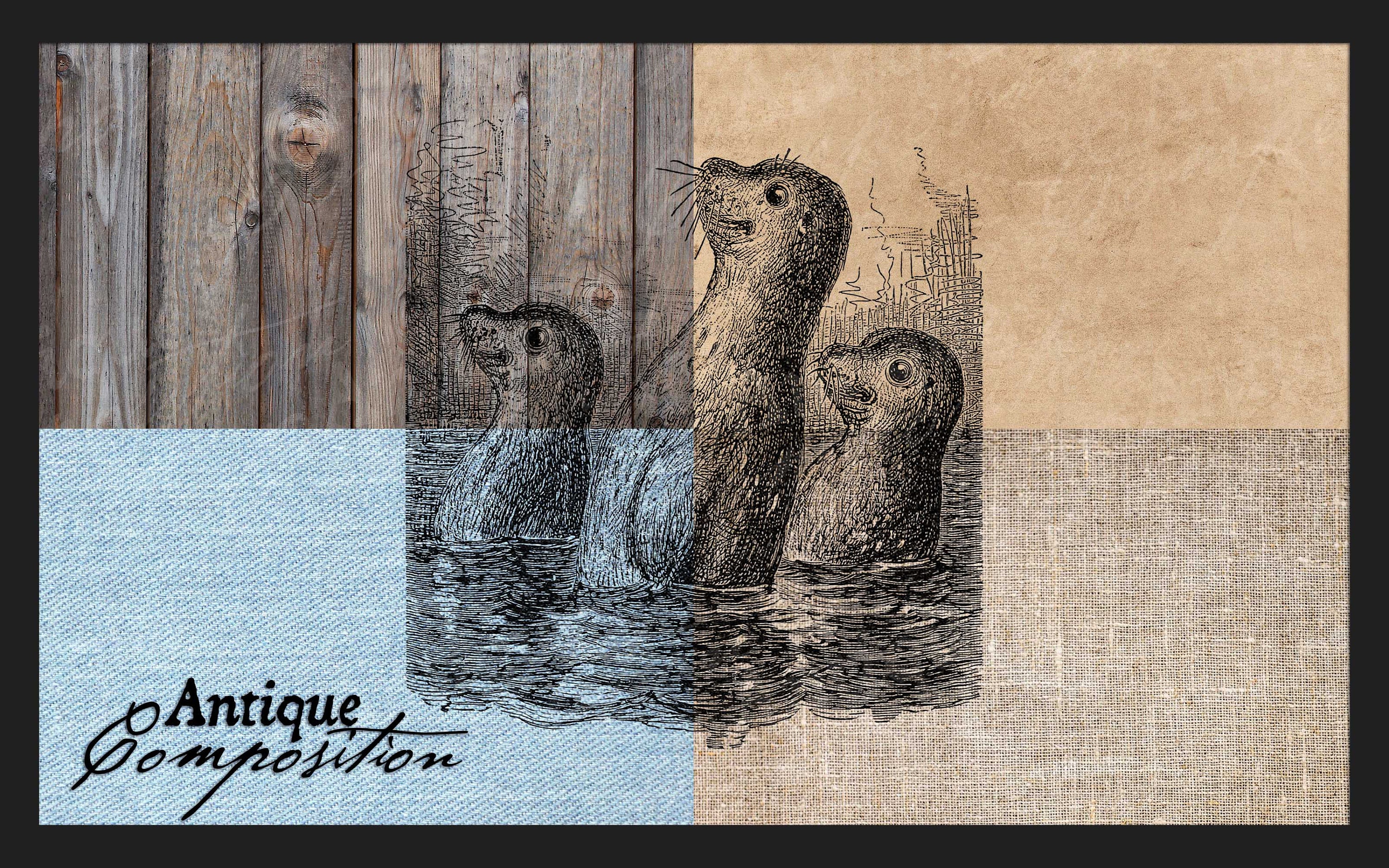 Vintage ocean seals, printable art.