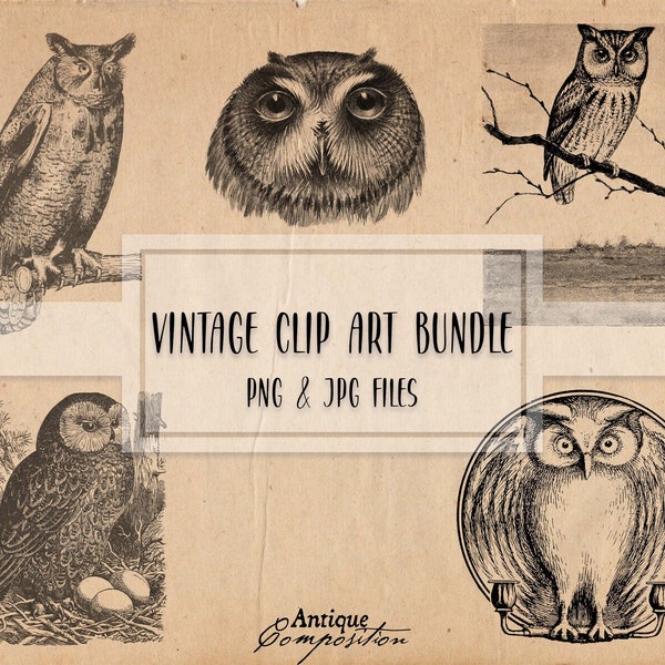 Owl Clip Art Bundle - Vintage Owl Printable - Owl Sublimation - Antique Bird Design