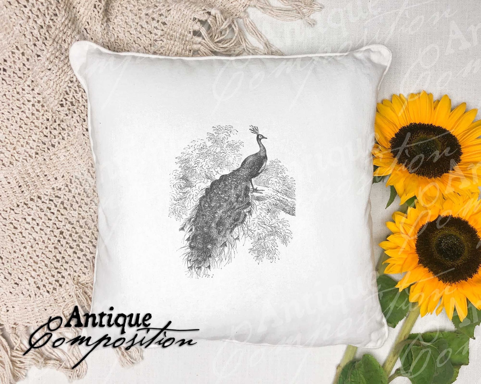 Peacock Clip Art - Vintage Peacock Printable - Peacock Sublimation ...