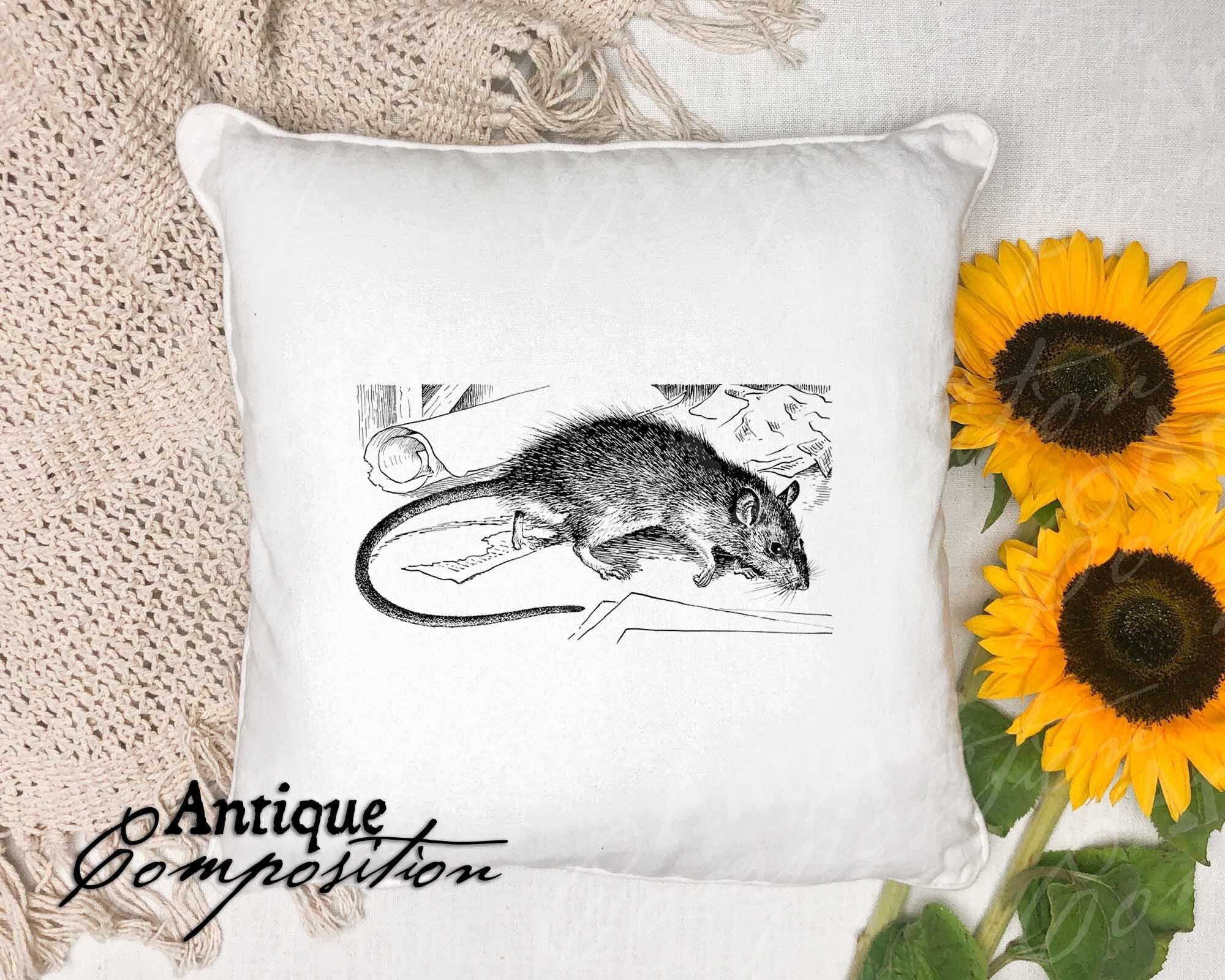 Rat Clip Art - Vintage Rat Printable - Rodent Sublimation - Antique Rat ...