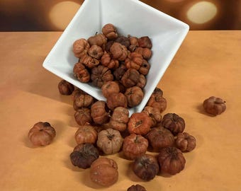 May include: A white square bowl tipped over, spilling miniature pumpkins onto an orange surface. The pumpkins vary in shades of brown and orange, suggesting a fall or harvest theme. The background has a blurred bokeh effect.