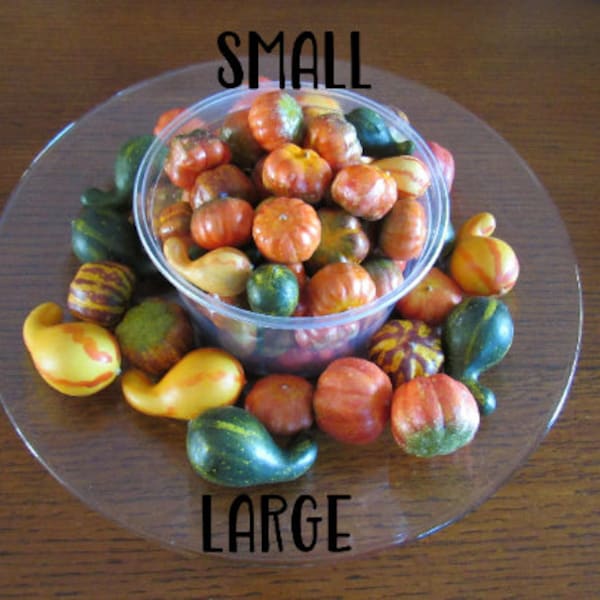 Small or Mini Pumpkin & Gourds for Halloween, Fall, Autumn, Thanksgiving, Wedding Decoration Holiday